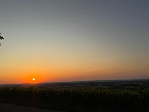 Panorama-180-Grad in Kitzingen