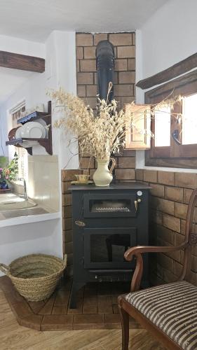 Casa Rural en la Alpujarra, La Chaparra - Pitres