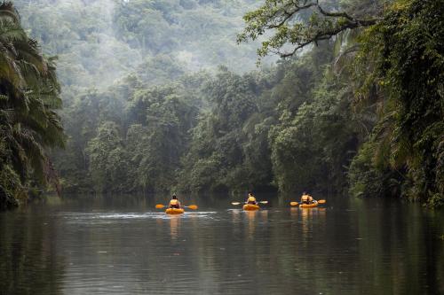 Copal Tree Lodge, a Muy'Ono Resort