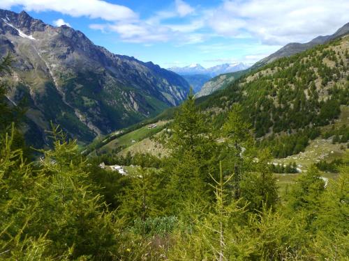 Chalet Talblick - image 10