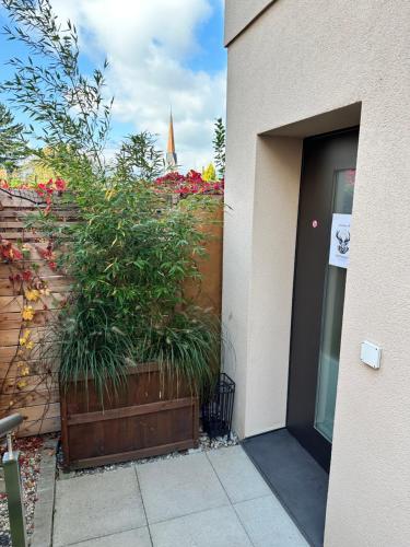 Entree, Alpenglanz Deluxe Studio in Schaan