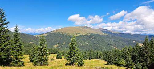 Ferienhaus Riegler in St. Marein bei Neumarkt
