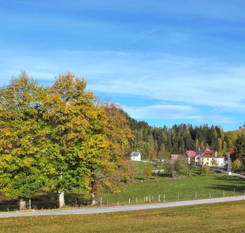 Ferienhaus Riegler in St. Marein bei Neumarkt