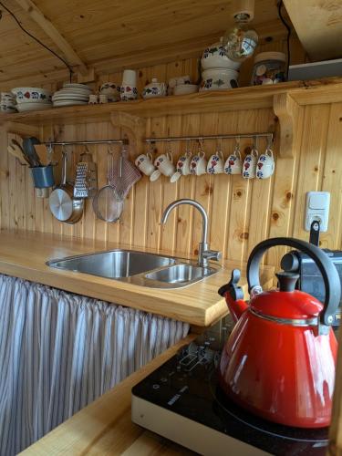 Shepherd's hut Het Schoehuijs in Sint Maartensbrug