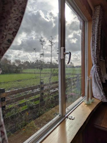 Shepherd's hut Het Schoehuijs in Sint Maartensbrug