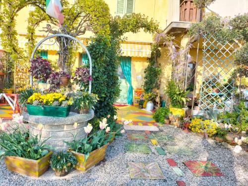 B&B Peschi in Fiore 2