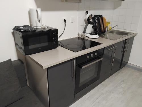 Duplex Brest Pilier Rouge avec internet et TV dans la chambre et le salon - Location saisonnière - Brest