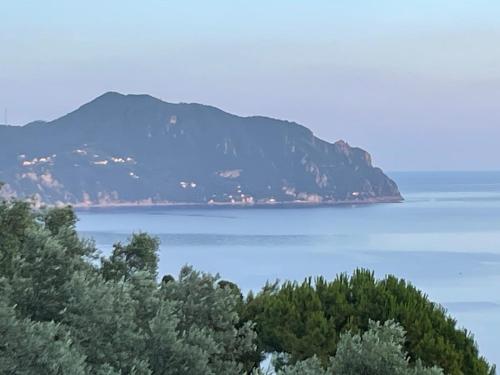 Cottage among the olive trees with a total sea view