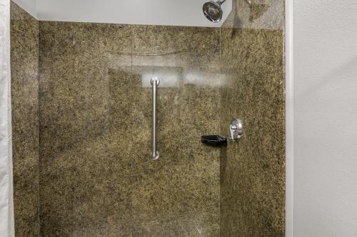 Best Western Plus Williston Hotel & Suites - image 11