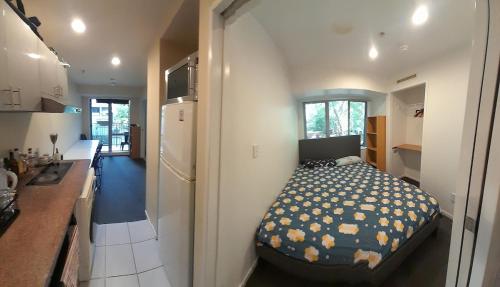 ultimate value in cbd for 4 in أخرى