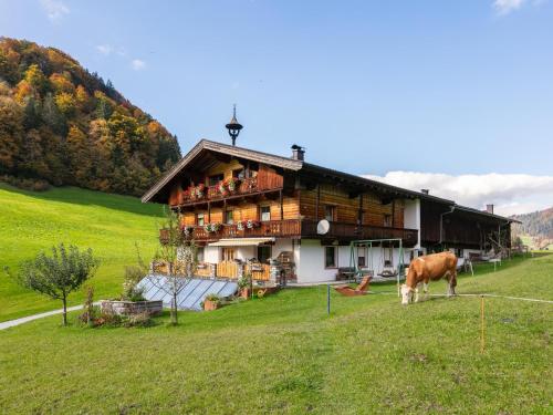 Tiroler Bergtraum Top 1 in Wildschönau, Österreich