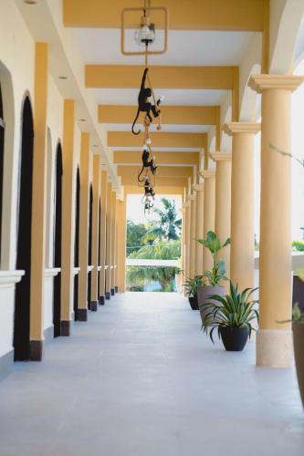 Hotel & Brunch Lirio de los Valles in Flores