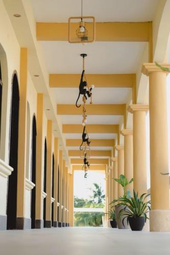 Hotel & Brunch Lirio de los Valles in Flores