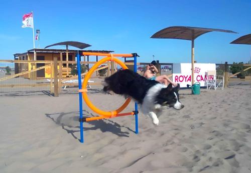 Apartment in Rosolina Mare 35639 - image 5