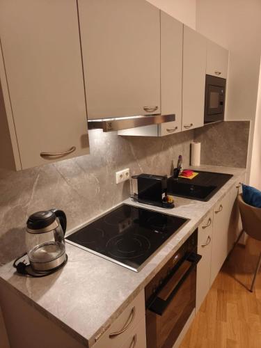 Luxury Central Apartment with Garden in 18. Währing