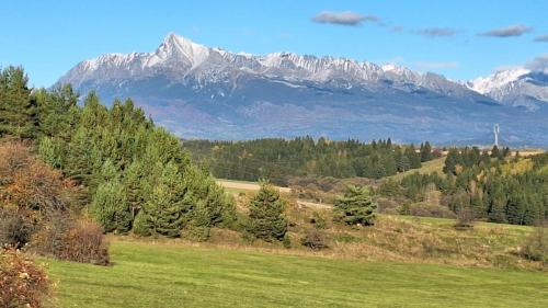 Drevenica Viki 1 in Ļiptovska Kokava
