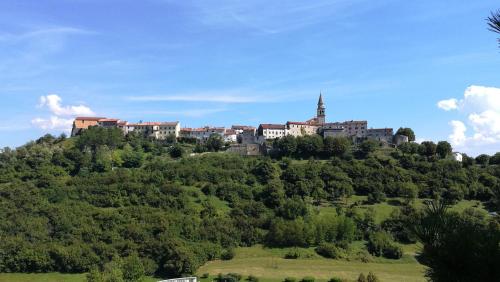  Apartment Field in Buzet