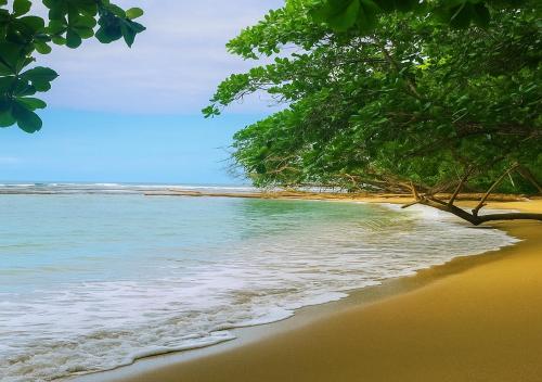 푸에르토 비에호 데 탈라망카 Villa Salvador - New Private Suite & Kitchen walk to Playa Chiquita 3성급 싱글룸 외관