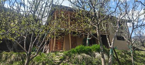 Ikigai homestay in Bahang