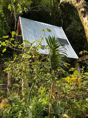 Eco Amigo el Rincón (Eco Amigo el Rincon) in Cerro Punta