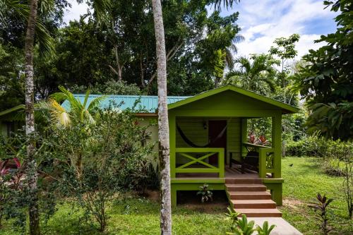 Apkārtne, Midas Belize in Sanignasio
