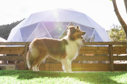 SPRINGS VILLAGE Ashigara Tanzawa Onsen Resort & Gl - Vacation STAY 41913v