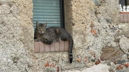 Casa Emma in Monteggio