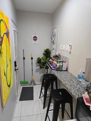 El Rincon - El Jardin in Saint Augustine