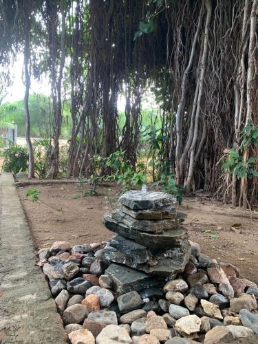 Banyan Tree Resort in 拉那克普爾