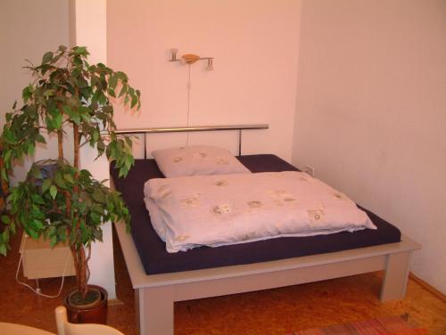 Pension Olé - image 3