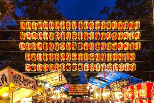 ラフィーネハイツ 103