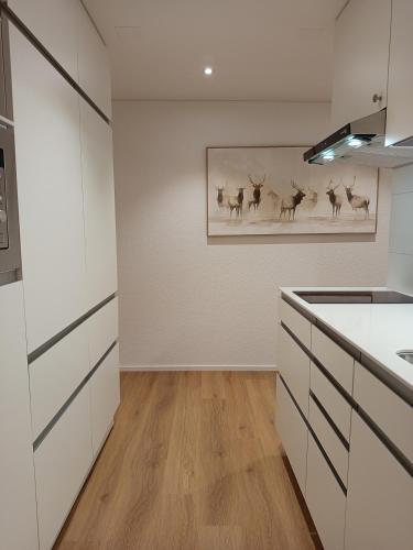 Konyha, Gästehaus Rossfall 424 - Self-Check-in (Gastehaus Rossfall 424 - Self-Check-in) in Urnasch