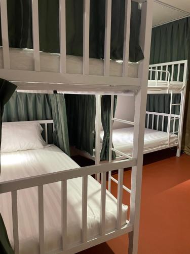 Bunk Bed in Female Dormitory Room-2 Bunk Bed