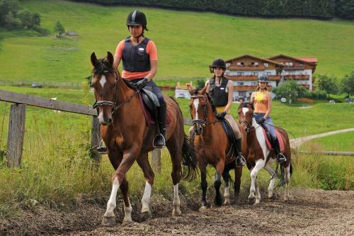 Accommodation in Hundsdörfl