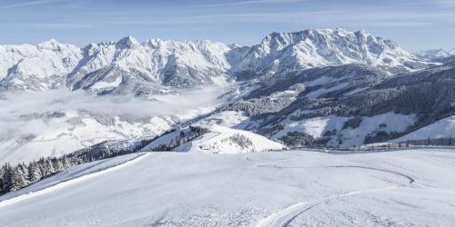 die HOCHKÖNIGIN - Mountain Resort