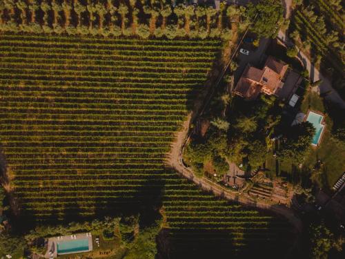 Book the One-Bedroom Apartment One-Bedroom Apartment