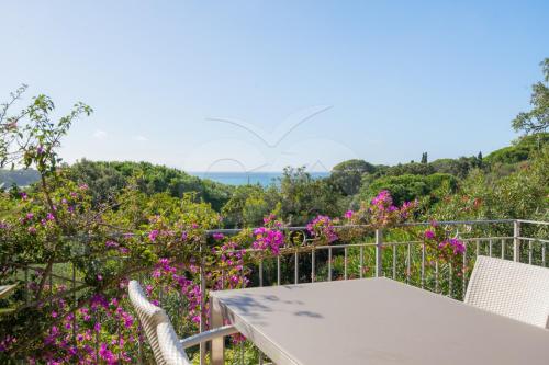 Casa Pavel a Colle di Lido - Goelba