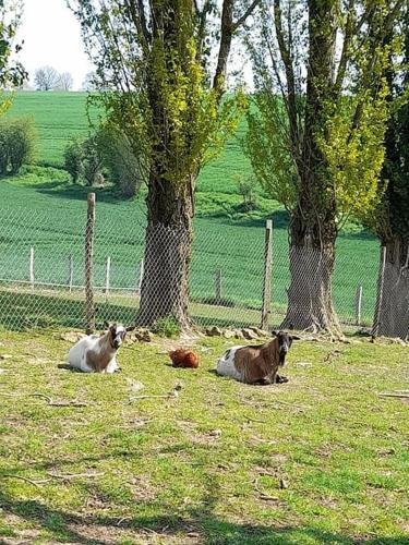 Gîte avec vue imprenable sur la campagne (Gite avec vue imprenable sur la campagne) in Saint-Calez-en-Saosnois