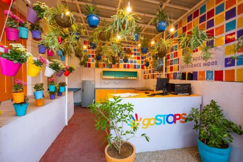 goSTOPS Lite Jaipur in Hathroi