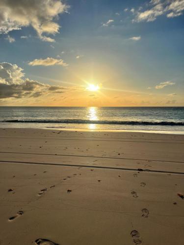 Tickled Pink in Dunmore Town