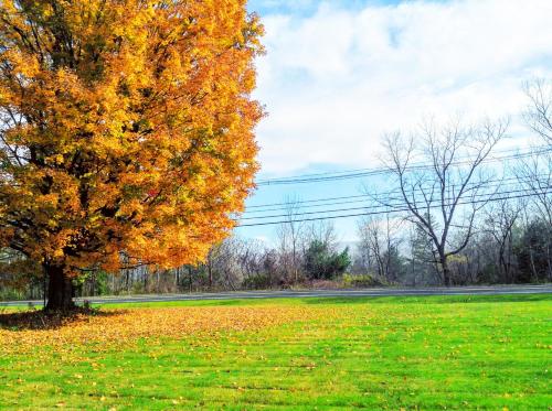 Kert, Starlight Inn in Bennington (Vermont)