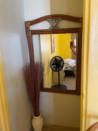 Junio y Lily House in קרולינה