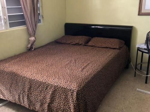 Junio y Lily House in קרולינה