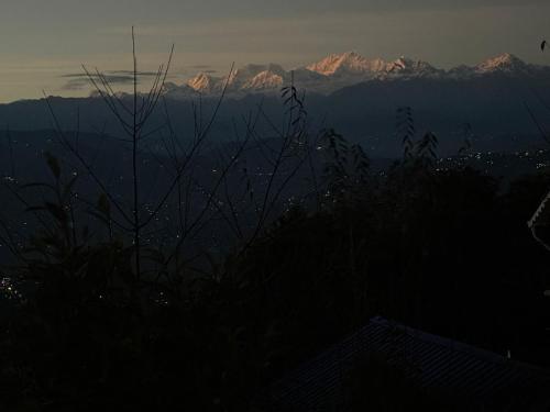 Sleeping Buddha Homestay - Lamahatta - image 5