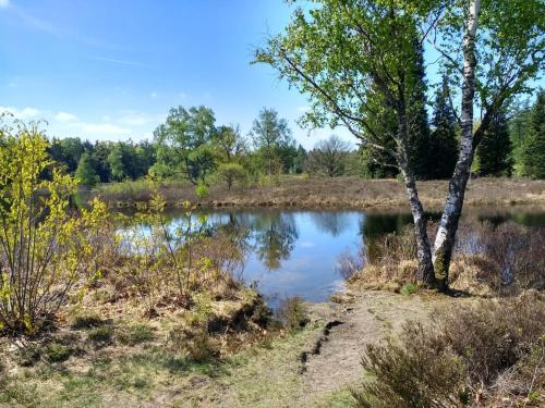 Geniet flink in de Appelvink in Diffelen
