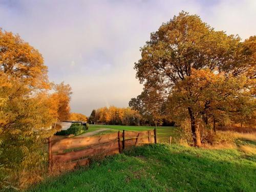 Geniet flink in de Appelvink in Diffelen