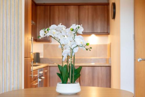 Old Prestwick Point - Donnini Apartments in 普雷斯特威克