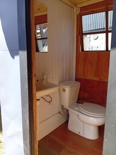 Pura vida hostel in 荷塞伊格納西奧