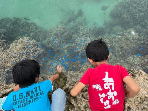 お子様連れ&動物好き大歓迎！産みたての卵を収穫体験できる宿