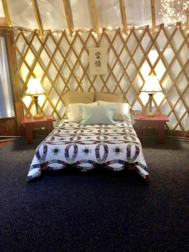 Magical Yurt Rental for Glamping in North Carolina in 阿爾伯馬爾